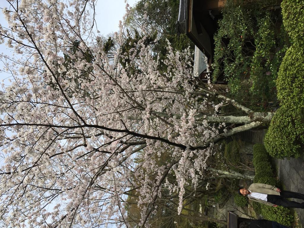 Ryokan Uemura Киото Экстерьер фото